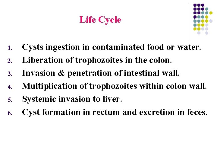 Life Cycle 1. 2. 3. 4. 5. 6. Cysts ingestion in contaminated food or