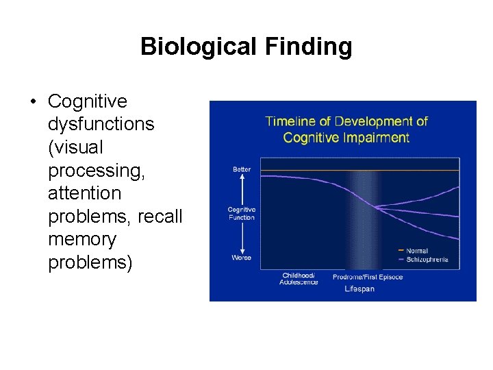 Biological Finding • Cognitive dysfunctions (visual processing, attention problems, recall memory problems) 