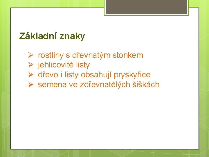 Základní znaky Ø Ø rostliny s dřevnatým stonkem jehlicovité listy dřevo i listy obsahují