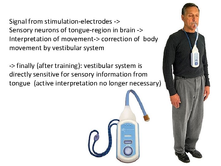 Signal from stimulation-electrodes -> Sensory neurons of tongue-region in brain -> Interpretation of movement->