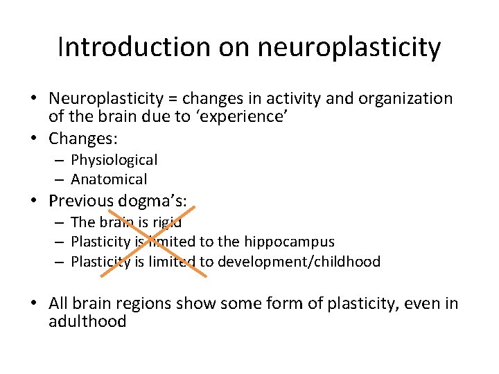 Introduction on neuroplasticity • Neuroplasticity = changes in activity and organization of the brain