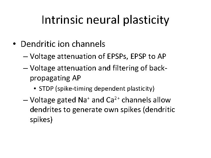 Intrinsic neural plasticity • Dendritic ion channels – Voltage attenuation of EPSPs, EPSP to