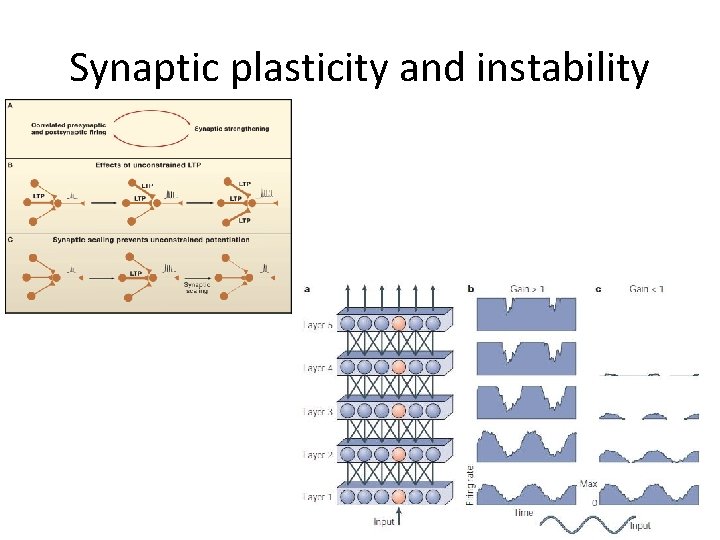 Synaptic plasticity and instability 