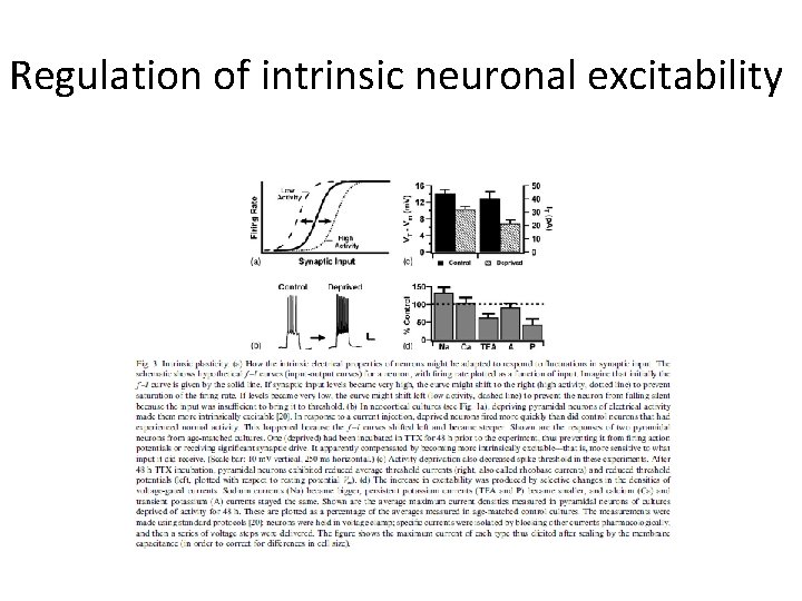 Regulation of intrinsic neuronal excitability 
