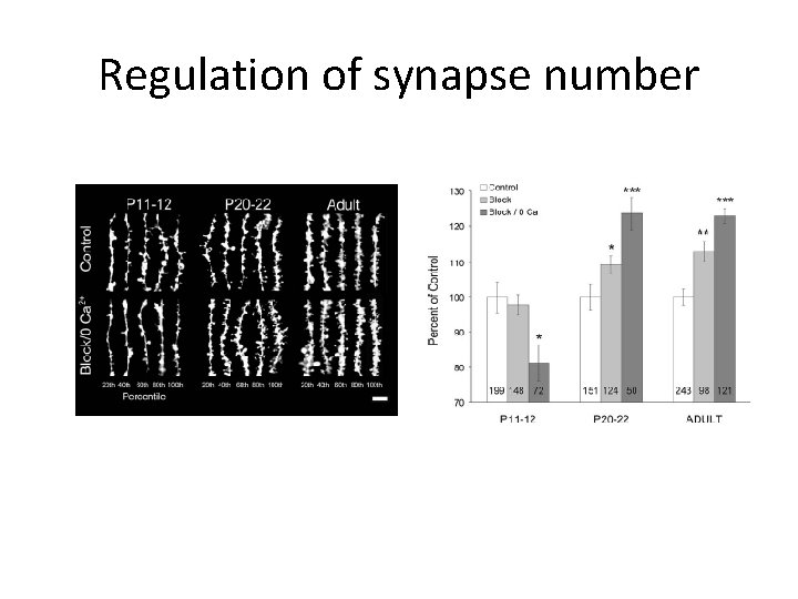 Regulation of synapse number 