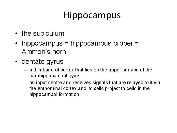 Hippocampus • the subiculum • hippocampus = hippocampus proper = Ammon’s horn • dentate