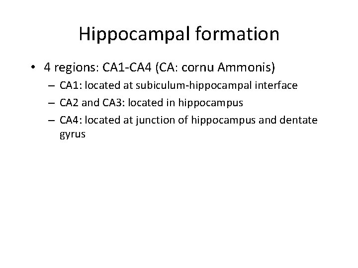 Hippocampal formation • 4 regions: CA 1 -CA 4 (CA: cornu Ammonis) – CA