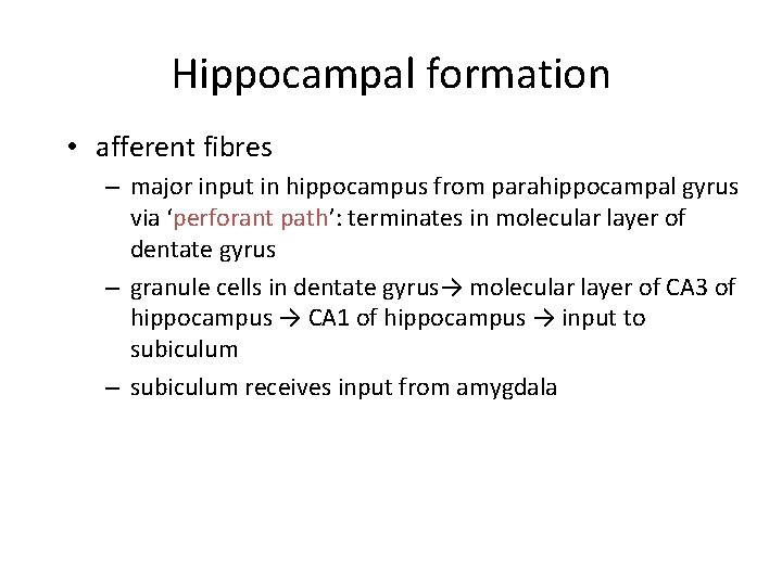 Hippocampal formation • afferent fibres – major input in hippocampus from parahippocampal gyrus via