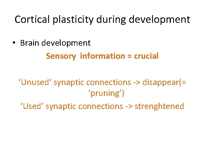 Cortical plasticity during development • Brain development Sensory information = crucial ‘Unused‘ synaptic connections