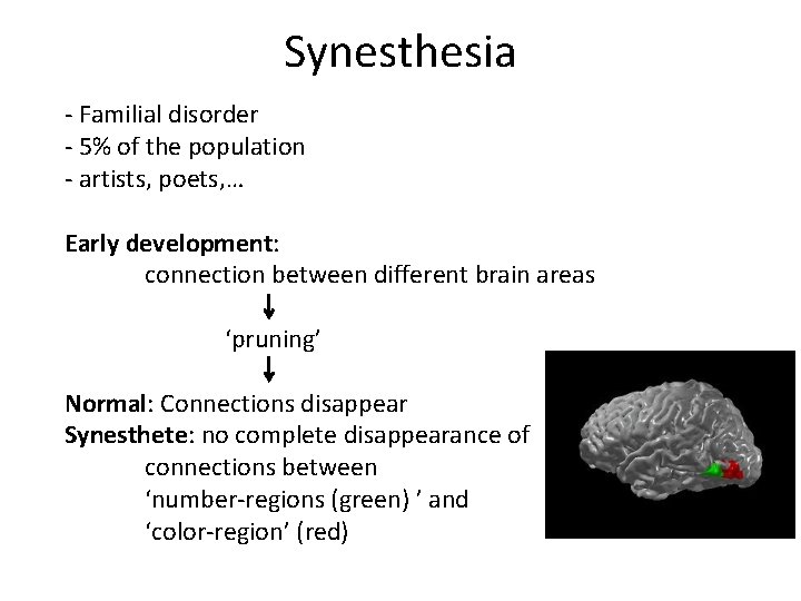 Synesthesia - Familial disorder - 5% of the population - artists, poets, … Early