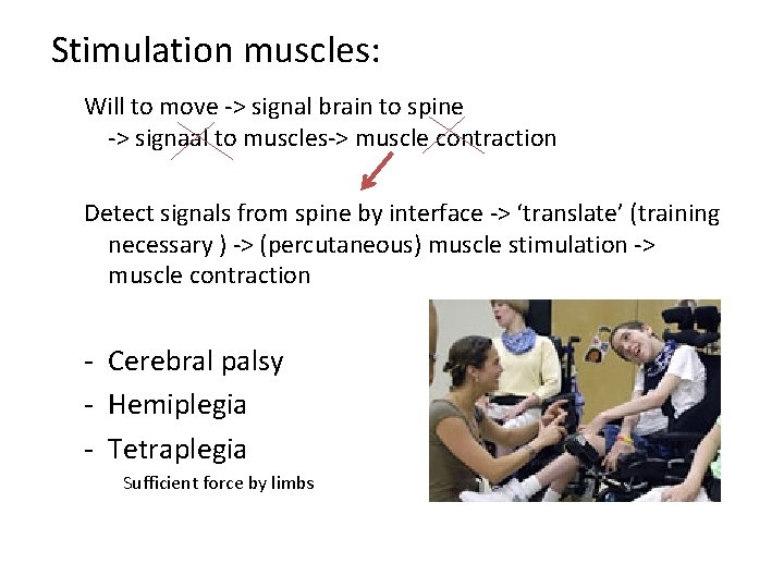 Stimulation muscles: Will to move -> signal brain to spine -> signaal to muscles->