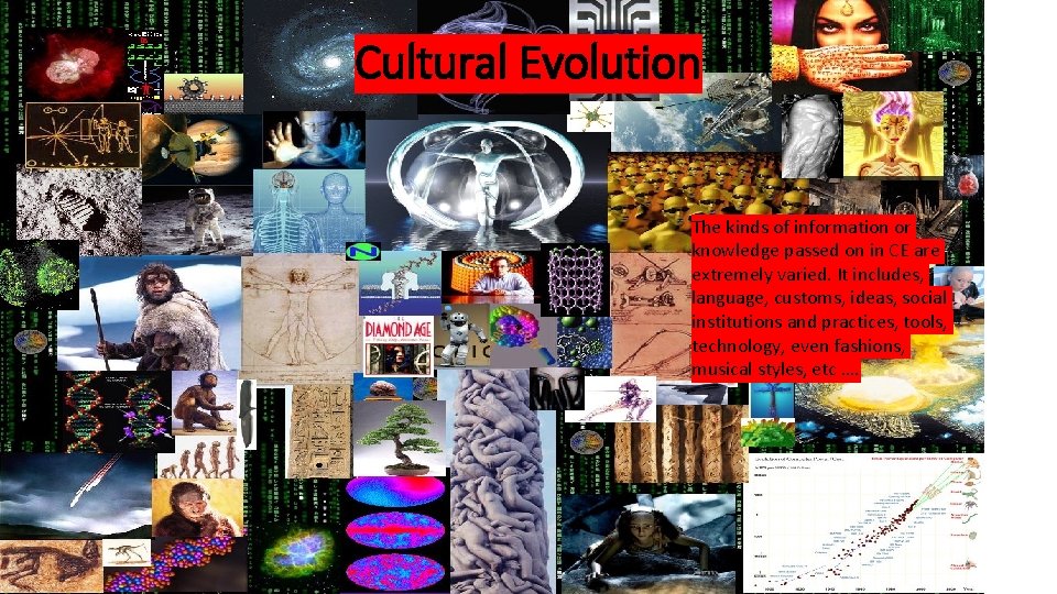 Cultural Evolution The kinds of information or knowledge passed on in CE are extremely Cultural Evolution The kinds of information or knowledge passed on in CE are extremely