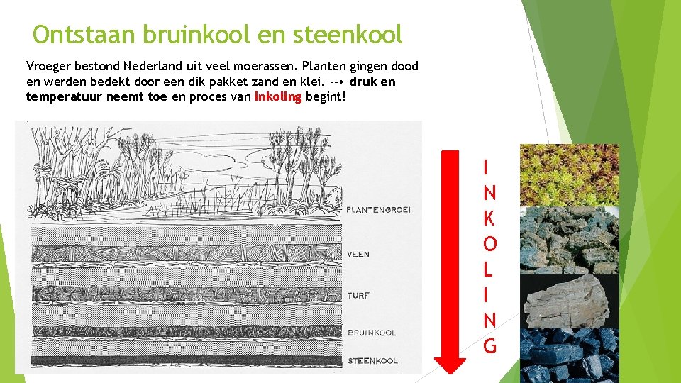 Ontstaan bruinkool en steenkool Vroeger bestond Nederland uit veel moerassen. Planten gingen dood en