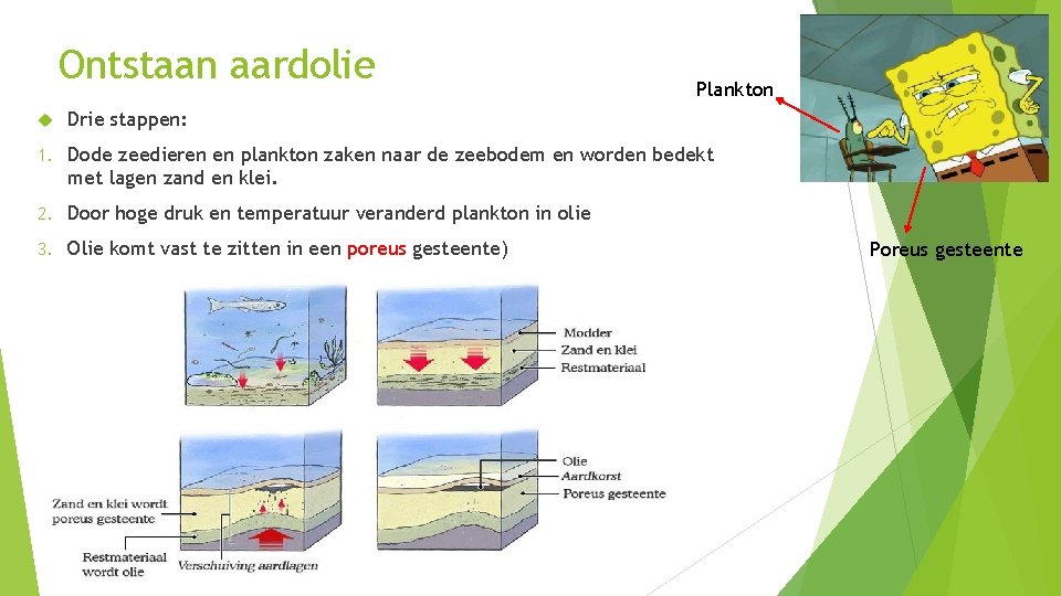 Ontstaan aardolie Plankton Drie stappen: 1. Dode zeedieren en plankton zaken naar de zeebodem