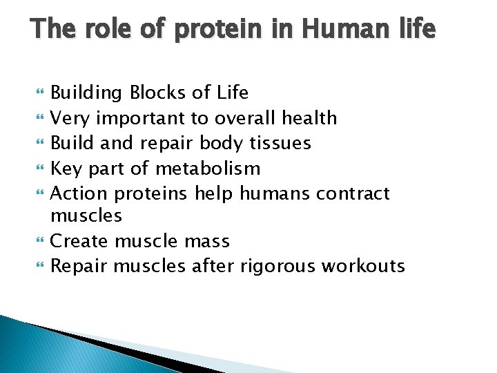 The role of protein in Human life Building Blocks of Life Very important to