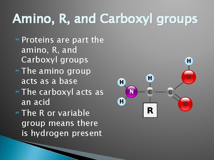 Amino, R, and Carboxyl groups Proteins are part the amino, R, and Carboxyl groups