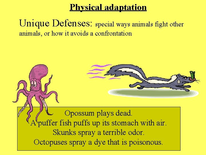Physical adaptation Unique Defenses: special ways animals fight other animals, or how it avoids