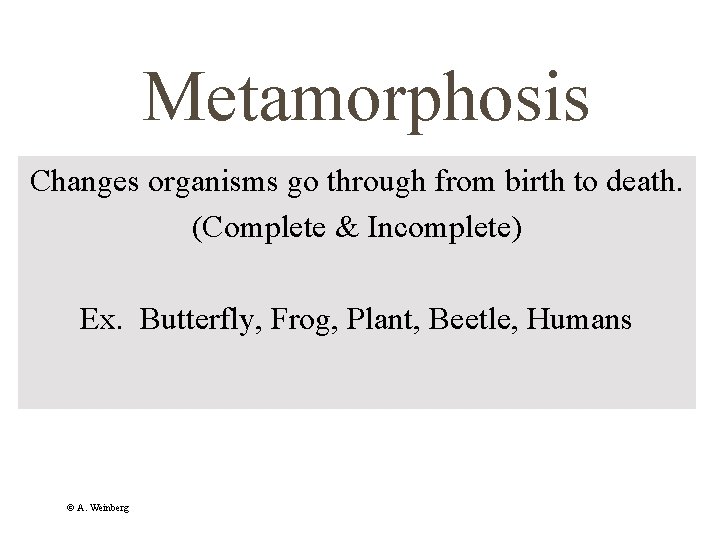 Metamorphosis Changes organisms go through from birth to death. (Complete & Incomplete) Ex. Butterfly,