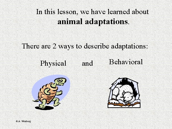 In this lesson, we have learned about animal adaptations. There are 2 ways to