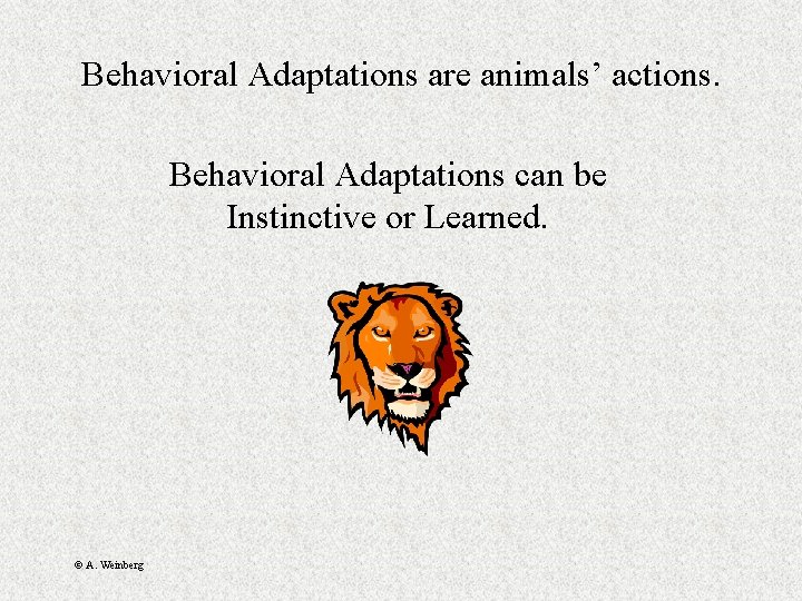 Behavioral Adaptations are animals’ actions. Behavioral Adaptations can be Instinctive or Learned. © A.