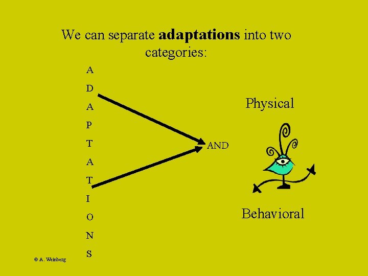 We can separate adaptations into two categories: A D Physical A P T A