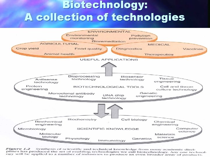 Biotechnology: A collection of technologies 