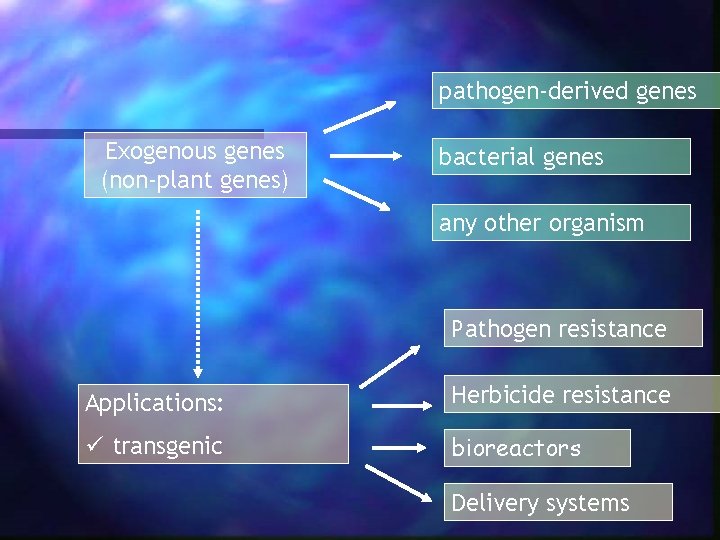 pathogen-derived genes Exogenous genes (non-plant genes) bacterial genes any other organism Pathogen resistance Applications: