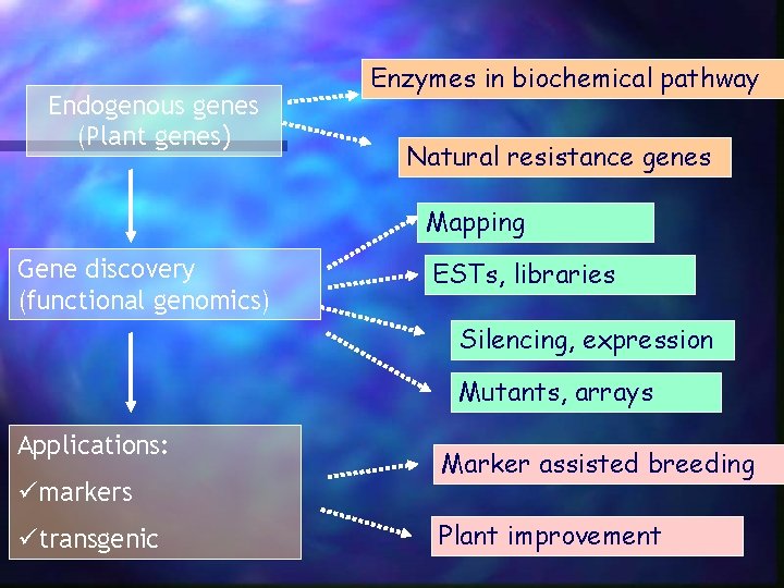 Endogenous genes (Plant genes) Enzymes in biochemical pathway Natural resistance genes Mapping Gene discovery