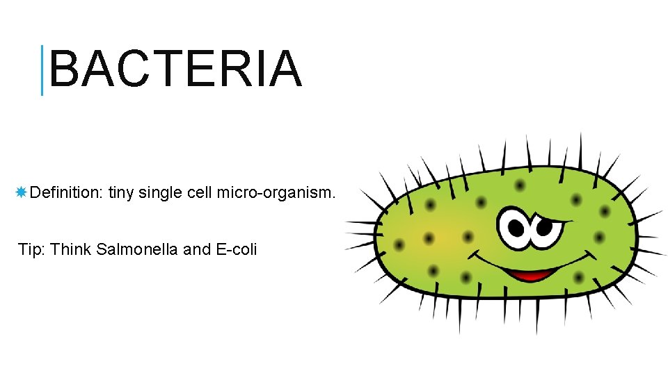 BACTERIA Definition: tiny single cell micro-organism. Tip: Think Salmonella and E-coli 