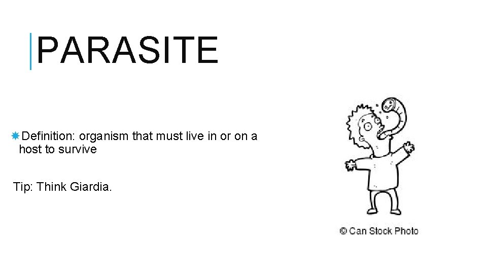 PARASITE Definition: organism that must live in or on a host to survive Tip: