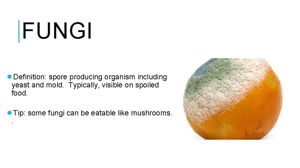 FUNGI Definition: spore producing organism including yeast and mold. Typically, visible on spoiled food.