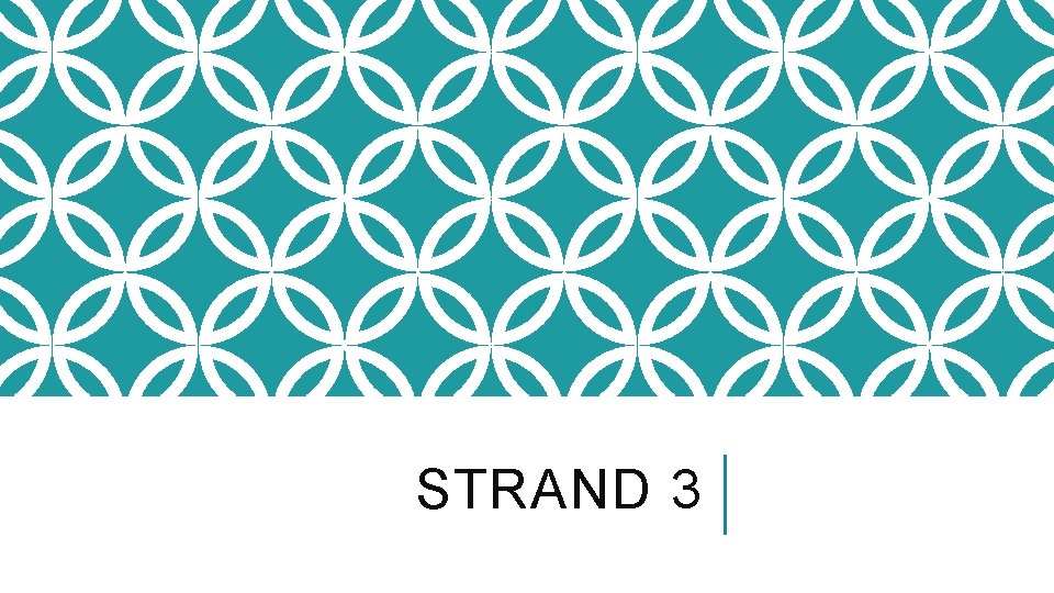 STRAND 3 