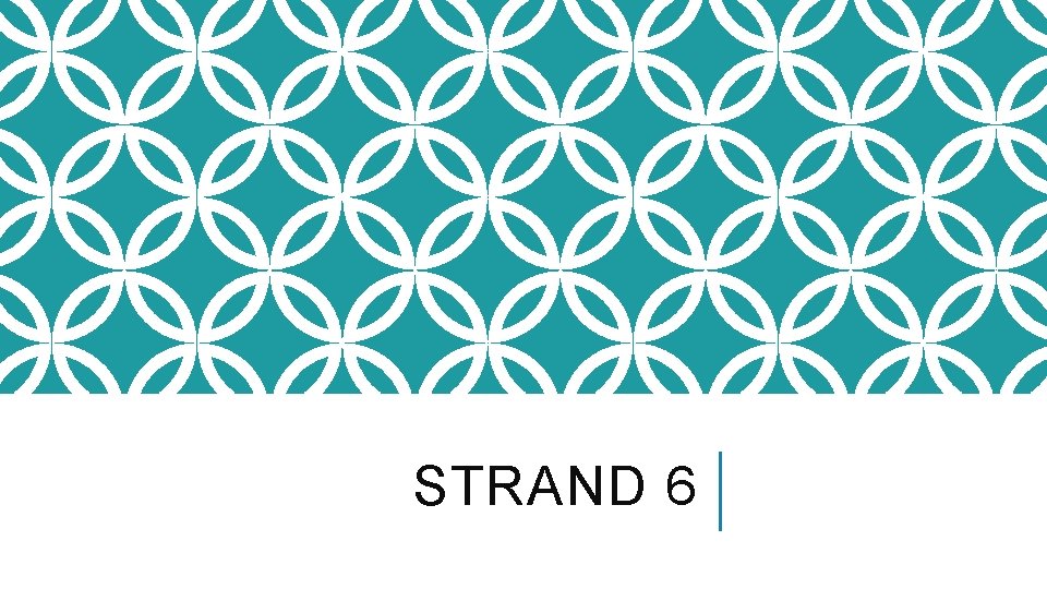 STRAND 6 