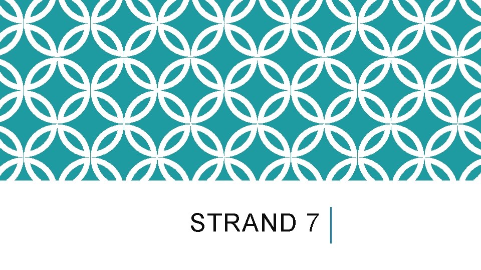 STRAND 7 