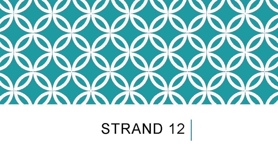 STRAND 12 