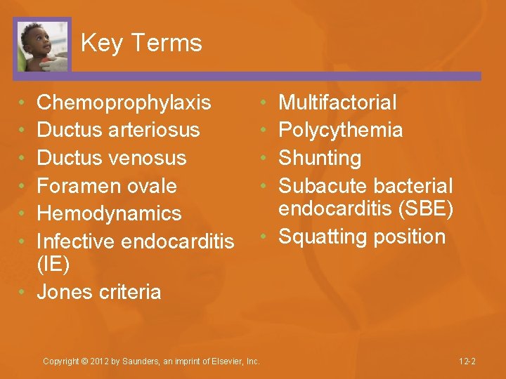 Key Terms • • • Chemoprophylaxis Ductus arteriosus Ductus venosus Foramen ovale Hemodynamics Infective