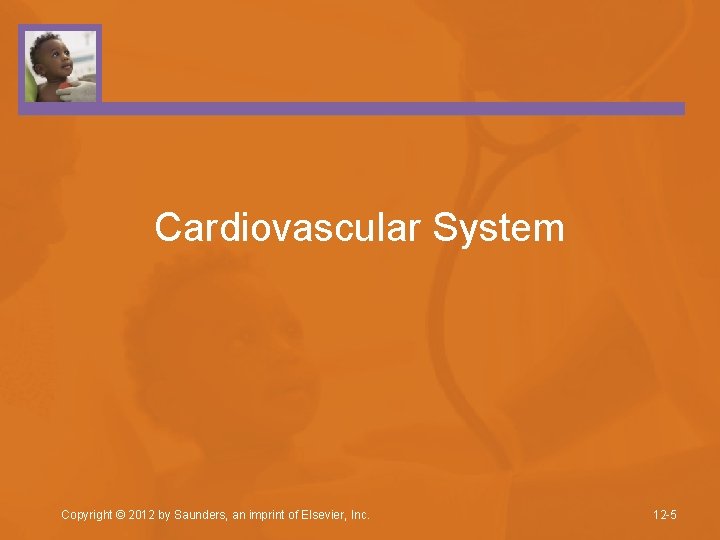 Cardiovascular System Copyright © 2012 by Saunders, an imprint of Elsevier, Inc. 12 -5