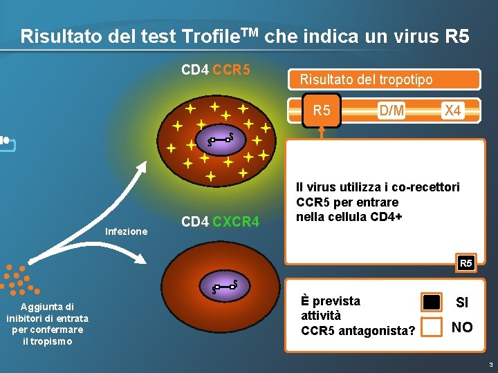 Risultato del test Trofile. TM che indica un virus R 5 CD 4 CCR Risultato del test Trofile. TM che indica un virus R 5 CD 4 CCR