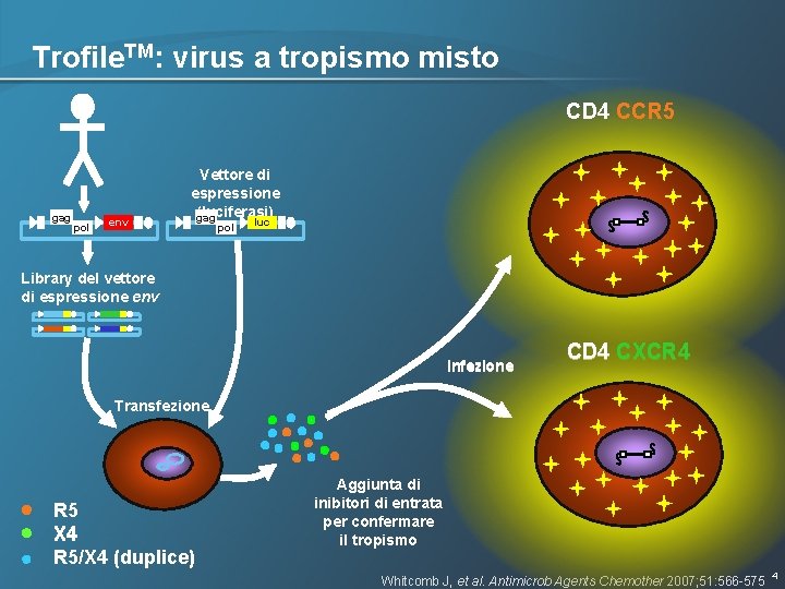 Trofile. TM: virus a tropismo misto CD 4 CCR 5 gag pol env Vettore Trofile. TM: virus a tropismo misto CD 4 CCR 5 gag pol env Vettore