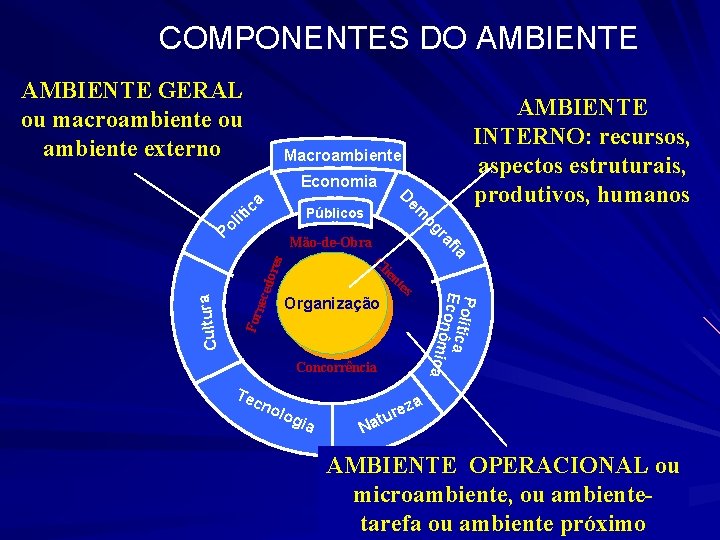  COMPONENTES DO AMBIENTE GERAL ou macroambiente ou ambiente externo AMBIENTE INTERNO: recursos, aspectos