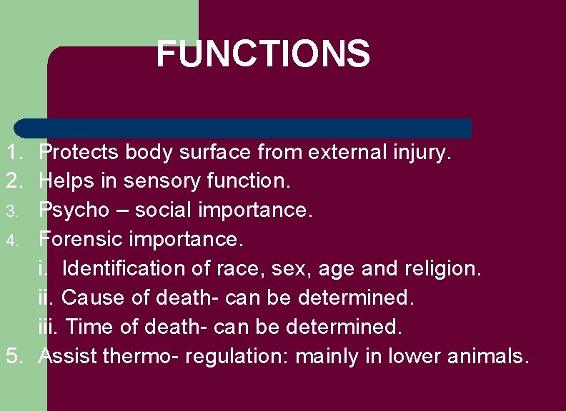 FUNCTIONS 1. Protects body surface from external injury. 2. Helps in sensory function. 3.