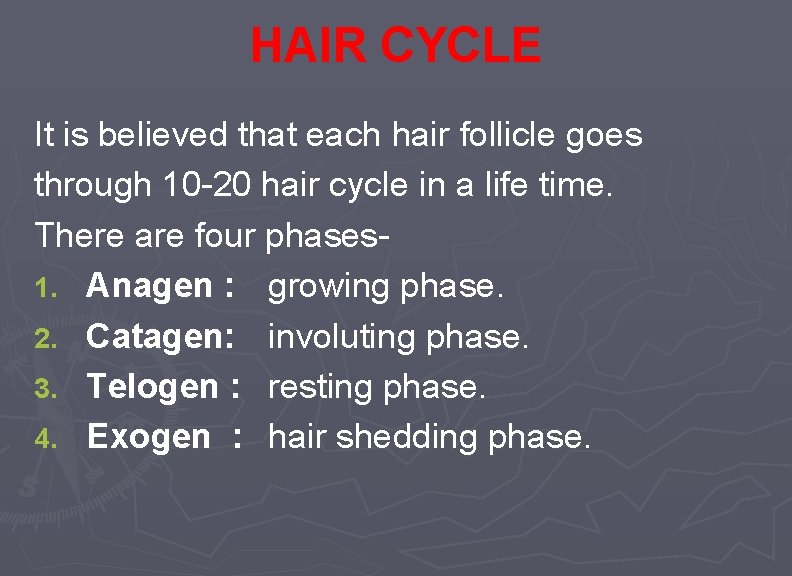 HAIR CYCLE It is believed that each hair follicle goes through 10 -20 hair