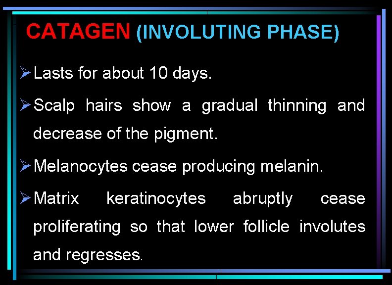 CATAGEN (INVOLUTING PHASE) Ø Lasts for about 10 days. Ø Scalp hairs show a