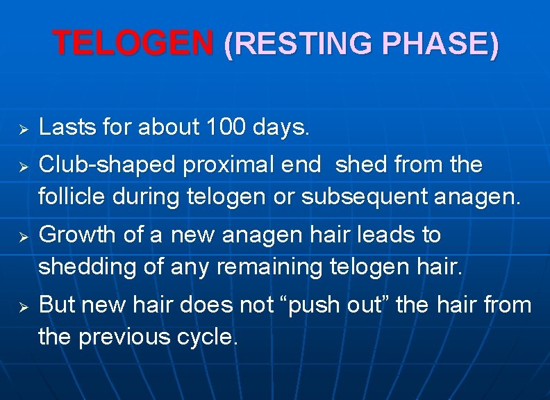 TELOGEN (RESTING PHASE) Ø Ø Lasts for about 100 days. Club-shaped proximal end shed