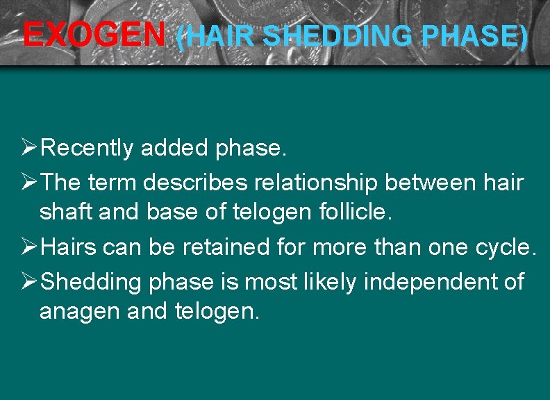 EXOGEN (HAIR SHEDDING PHASE) Ø Recently added phase. Ø The term describes relationship between