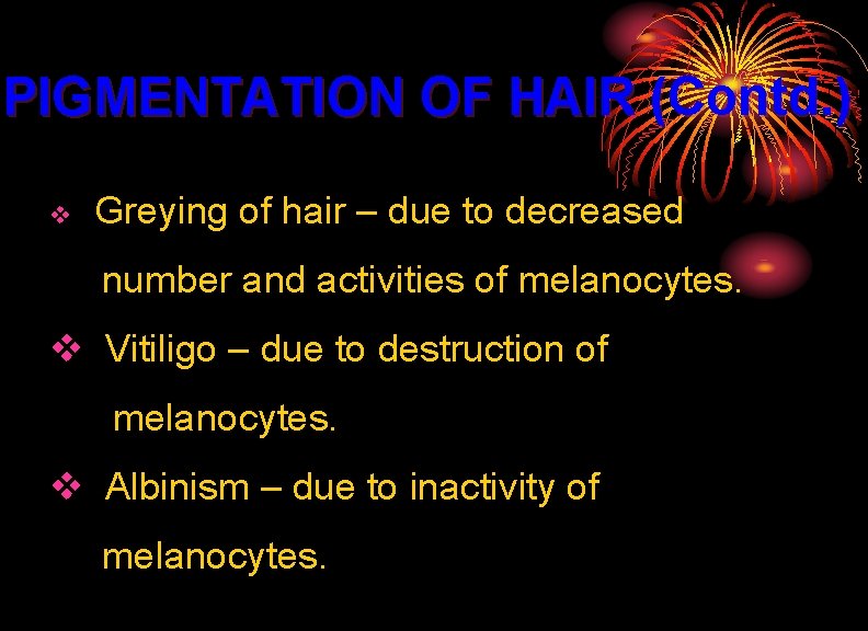 PIGMENTATION OF HAIR (Contd. ) v Greying of hair – due to decreased number