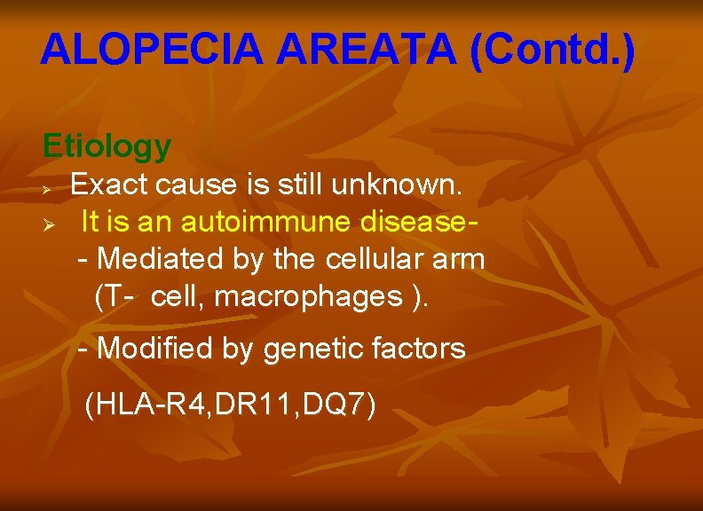 ALOPECIA AREATA (Contd. ) Etiology Ø Ø Exact cause is still unknown. It is