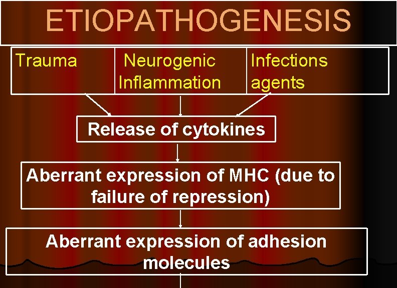 ETIOPATHOGENESIS Trauma Neurogenic Inflammation Infections agents Release of cytokines Aberrant expression of MHC (due