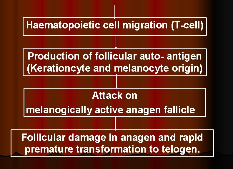Haematopoietic cell migration (T-cell) Production of follicular auto- antigen (Kerationcyte and melanocyte origin) Attack