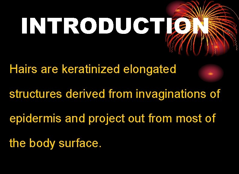 INTRODUCTION Hairs are keratinized elongated structures derived from invaginations of epidermis and project out